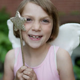 Ensemble sequin papillon, jupe, ailes et baguette (4/6 ans)