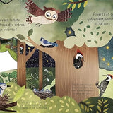 Bonne nuit La forêt