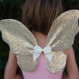 Ensemble sequin papillon, jupe, ailes et baguette (4/6 ans)