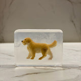 Savon Chien