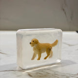 Savon Chien