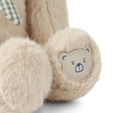 Petit lapin Teddy gris