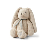 Petit lapin Teddy gris